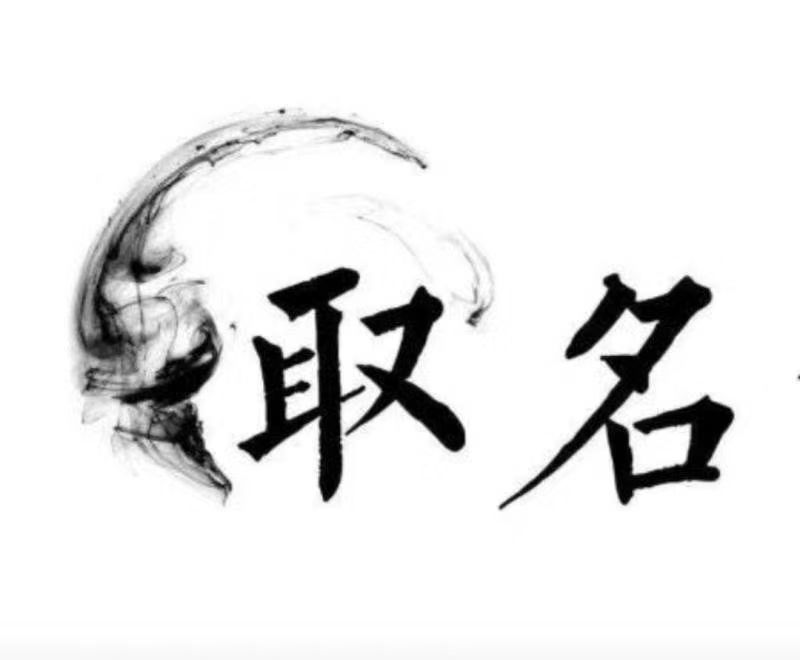  谢家集宝宝取名 大师一对一人工起名